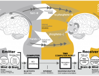 Brain-Communication.png