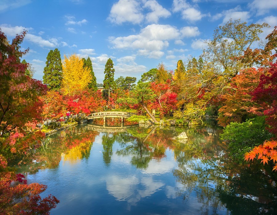 Autumn Gardens in Kyoto