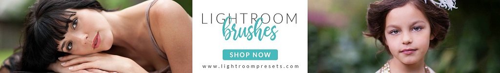 Lightroom Brushes
